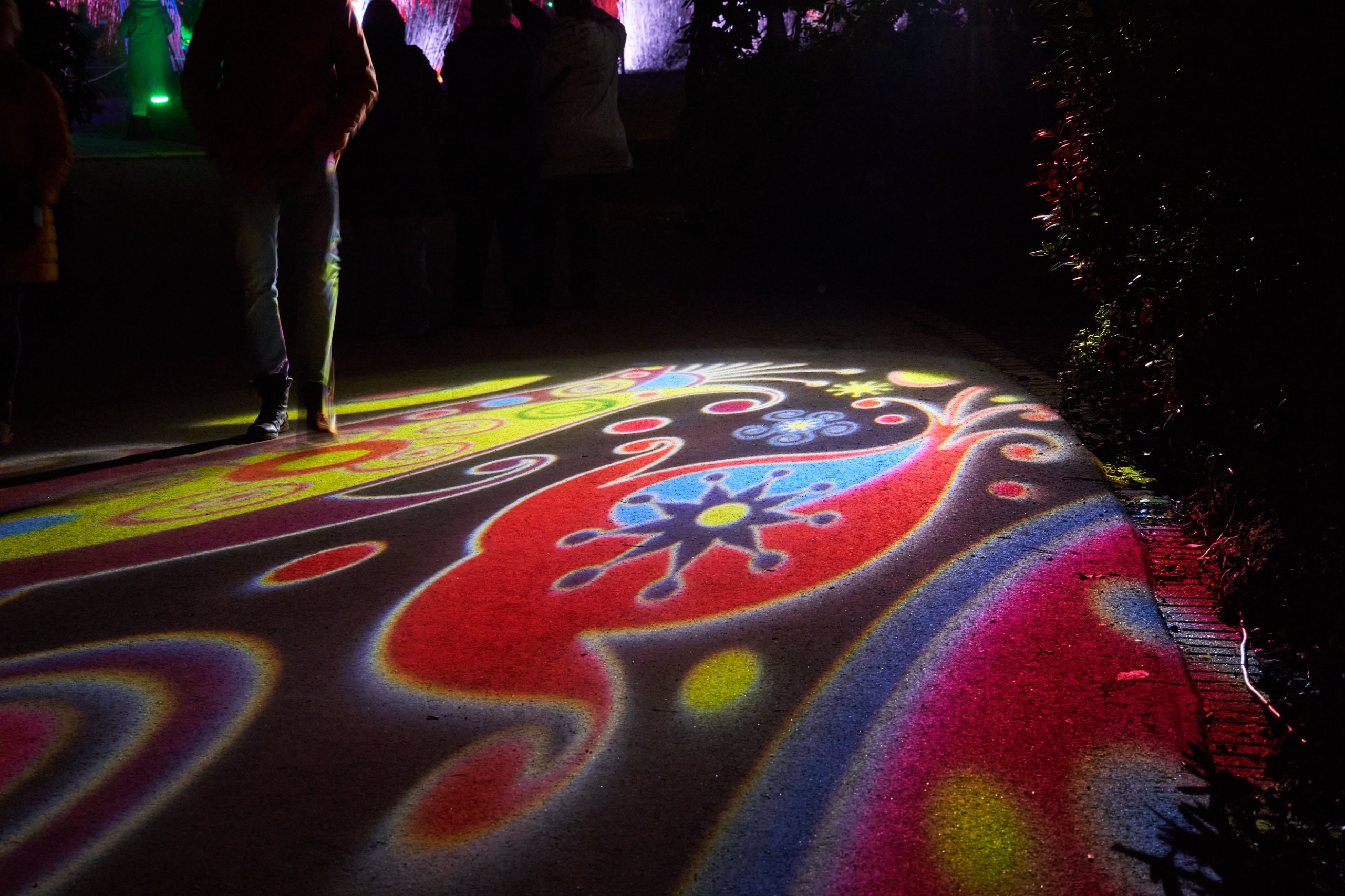 2023 01 24 Parkleuchten 0314